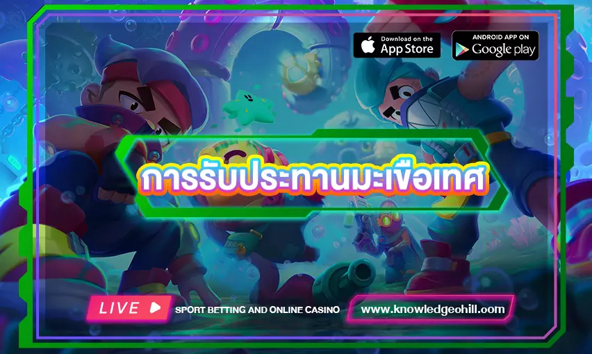 วิธีที่ดีที่สุดใน การรับประทานมะเขือเทศ ที่มีคุณค่าทางโภชนาการต่างกัน